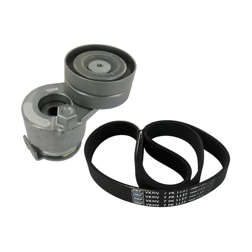 SKF Kit de courroie trapézoïdale à nervures VKMA36072 Compatible avec: RENAULT GRAND SCÉNIC II, GRAND SCÉNIC III, MEGANE CC, MEGANE II, MEGANE II...