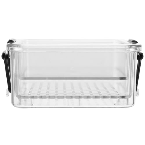 ERINGOGO vX^ 芊~ߕt ϋv̂vX`bN ؂ ݌v