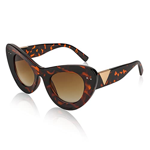 FEISEDY Oversized Cat Eye Sunglasses for Women Retro Fashion Cateye Sunglasses B29182