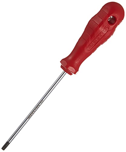TR 20 Delikli Torx Uçlu Tornavida