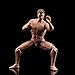 SOUFORCE 1:12 Scale Muscle Male Action Figure 6 Inches Europe Skin Flexible Male Figure Body Doll with Head Sculpt