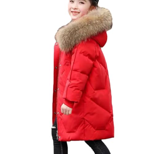 [Cm] t@[t q AE^[ _E WPbg R[g ubN zCg sN bh _ER[g LbY q ̎q AE^[ _EWPbg t[ht LbY q bh/ԐF _ER[g O 130 ʊw LbY