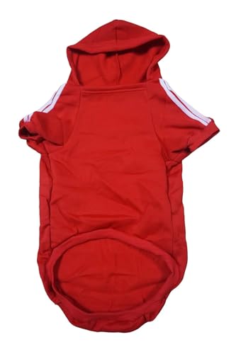 S-Lifeeling  R[g ~ g h ΍   ybgpi  U }WbNe[v WPbg ^ ^ ^ Kp H~ L a 蕨 bh 3XL