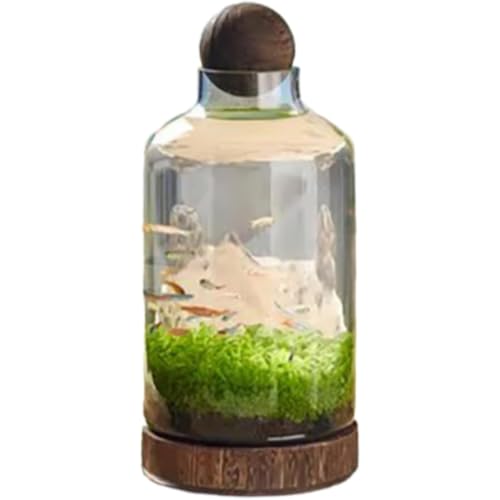 TAYOAKX l NGCeBu ؐT|[g Rei ȉ~` k͔|Rei (B)