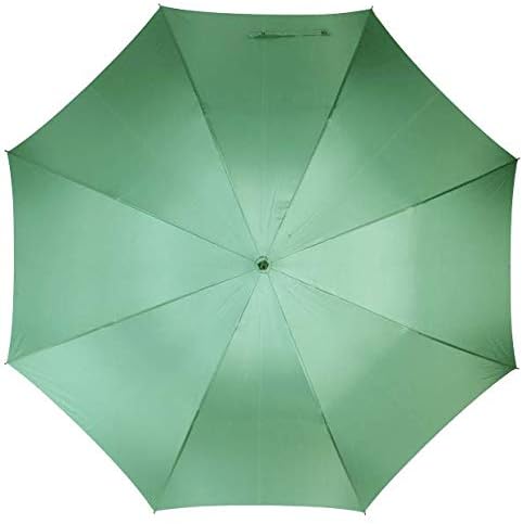 ワカオ WAKAO 大判 65cm 超軽量 カーボン製 スリム 雨傘 長傘 軽量 スタイリッシュ 天然木 バンブーハンドル 日本製