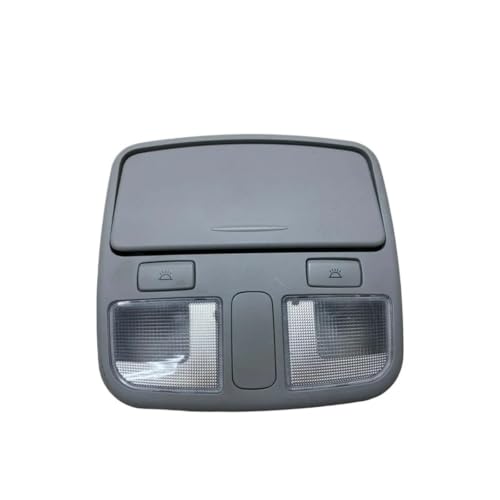 Luz techo interior coche Hyundai Sonata NF con portagafas consola gris OEM 928003K001