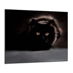 Gsc Ceranfeldabdeckung Glas 60x52 Katze