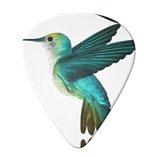 Lot de 6 médiators colibri pour guitare acoustique, guitare électrique, basse, ukulélé – fins, moyens et épais. - Les Beatles, Paul McCartney, John Lennon, RIngo Starr, George Harrison Lot de 6 médiators colibri pour guitare acoustique, guitare électrique, basse, ukulélé - fins, moyens et épais. – Image 3