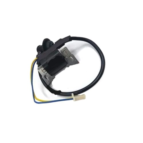 Bobine d'allumage pour groupe électrogène TI 1000 et allumeur