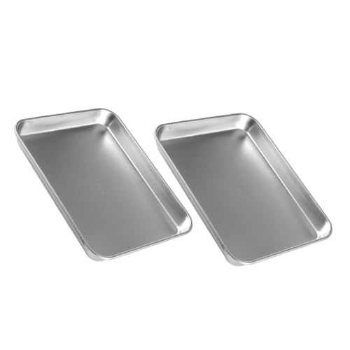 Cabilock 2-Piece Stainless Steel Instrument Trays Medical Flat Trays Laboratory Equipment Safe Long-Lasting