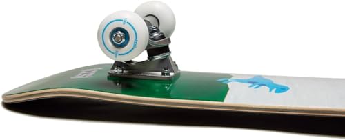 CCS T-Rex Mini Skateboard Complete