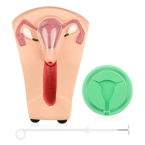 Image of SimCoach Intrauterine Device Training Kit, IUD Training Model, Female Intrauterine Contraceptive Device Simulator Trainer