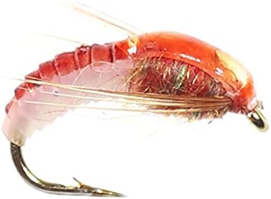 Coherny Realistic Nymph Scud Fly for Trout Fishing Artificial Insect Bait Lure Simulated Scud Worm Fishing Lure 6Pcs/Set 12 (K 6PCS) - 1