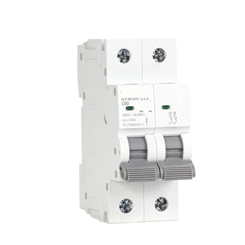 Disjoncteur électrique 2P GYM9H-125 résoud les pannes de surchauffe sur rail DIN