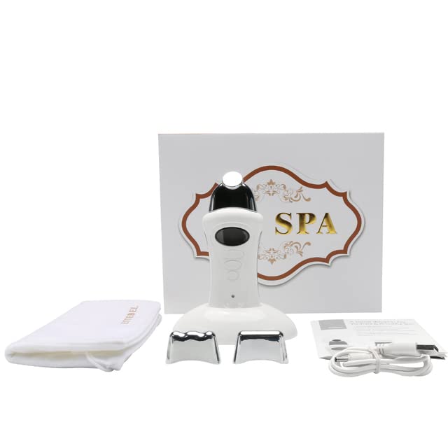 AE-PRO - Galvanic Spa Nutrition Electroporator Handheld Skin Tightening Face Lift Microcurrent Galvanic Device Skin Care Facial Machine (WITH GIFT BOX)