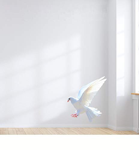 SIGNOOGLE Flying Dove Wall Sticker for Nursery School Interior Design Decoration Decal Multicolor Wallpaper Gifts (50 x 60cm)