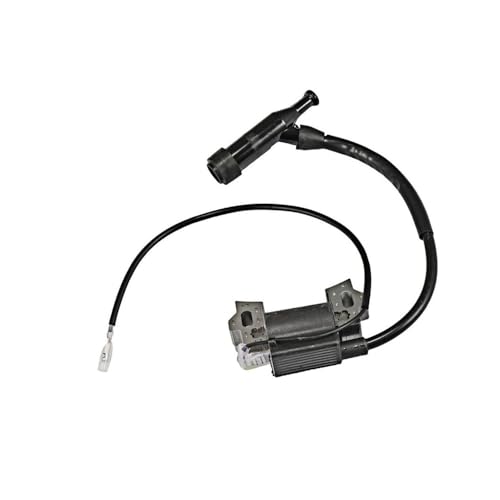 Bobine d'allumage pour entretenir le moteur de la tondeuse GC-PM 46/3 S