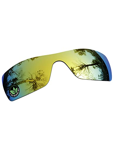 Image of Raydi Polycarbonate Replacement Lenses for Oakley Batwolf OO9101 Rectangular Sunglasses