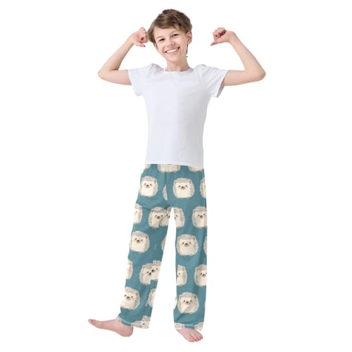 Pajama Pants Gray Hedgehogs Blue Pattern PJ Bottoms Sleepwear Lounge Sleep Pant with Pockets2