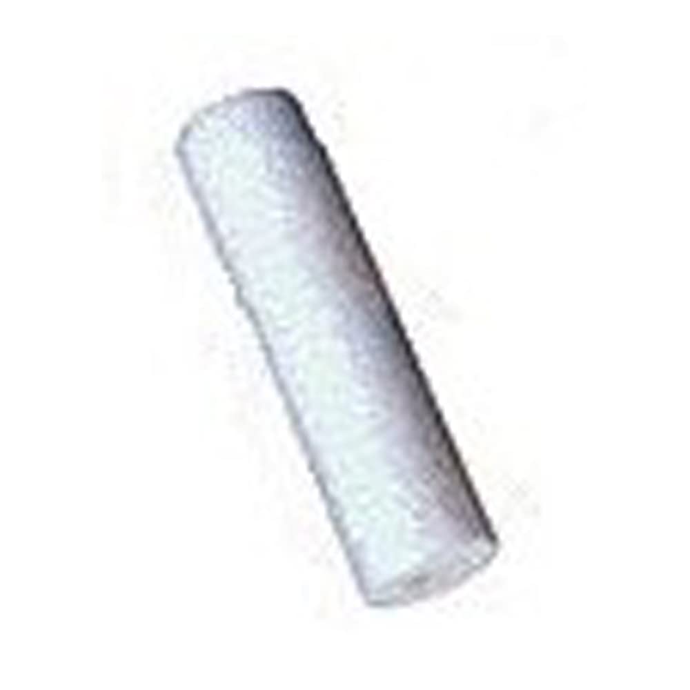 Barnstead Cellulose Acetate Prefilter for RoPure ST, 5 Micron