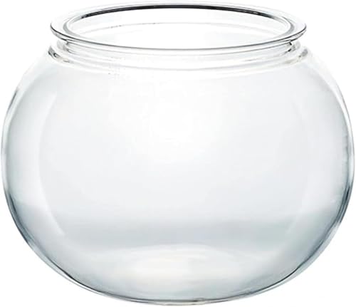Qfmr vX`bN  ی^ h 琅 AN ϗtA CeA e e[u ANAE {E | e  CeA ԕr  t[x[X (20cm)
