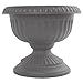 Bloem GU18-908 Grecian Urn Planter 18