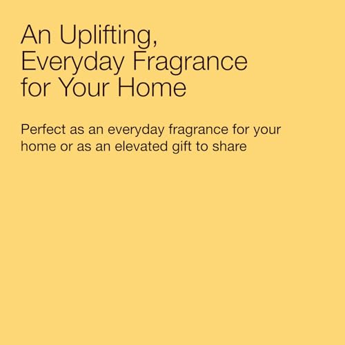 Bath & Body Works 3-Wick Candle, Sweet Orange & Agave Citrus, 14.5 oz - image 7