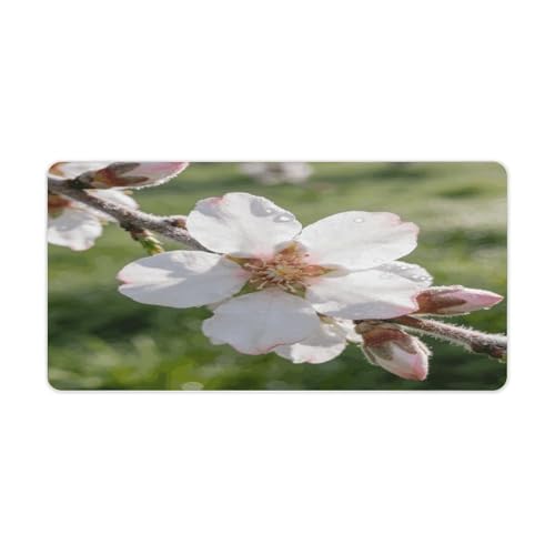 Branches with Almond Blossom Desk Pad 30x60 cm Rubber