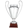 Art-Trophies at82952 Trophée de Sport, Argent, Taille Unique