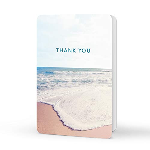 Image of Studio Oh! Closer Look Blank Thank You Cards Set with Envelopes & Stickers, 12 Assorted Note Cards (4 Designs), 4.5 x 5.5 Inch, 260 GSM Thick Paper, Decorative Stationery Set for Gifts, All Occasions