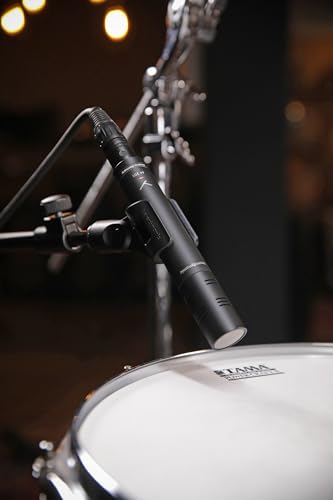 Image of beyerdynamic M 201 Hypercardioid Dynamic Instrument Microphone