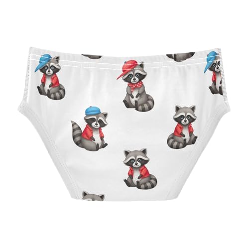 CHIFIGNO Underwear for Boys Cute Raccoons White Cotton Boys Briefs Soft Breathable Brief Underwear2