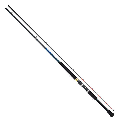 Daiwa Deep Zone X 200-240 from Japan
