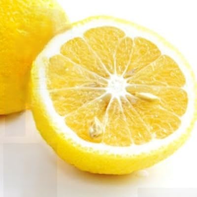 口いっぱいに広がる爽やかな甘み!「はるか」約5kg入(C28-20)