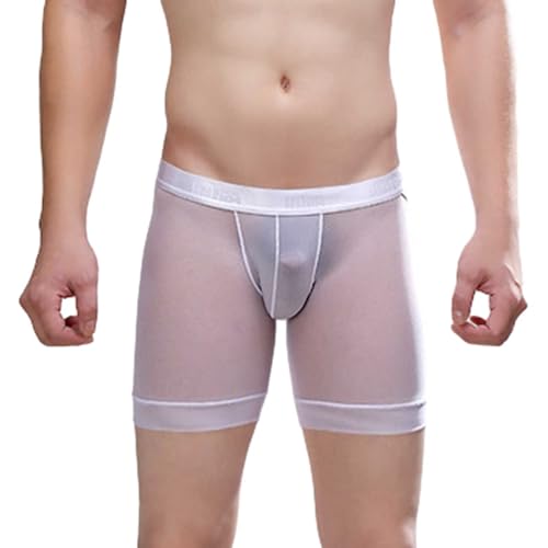 DeaAmyGline Boxer Sexy pour Homme, Shorts Transparent Boxer Homme Culotte en Maille Slip Erotique Tanga Culotte Thongs Lingerie sous-VêTement Slip Respirant...
