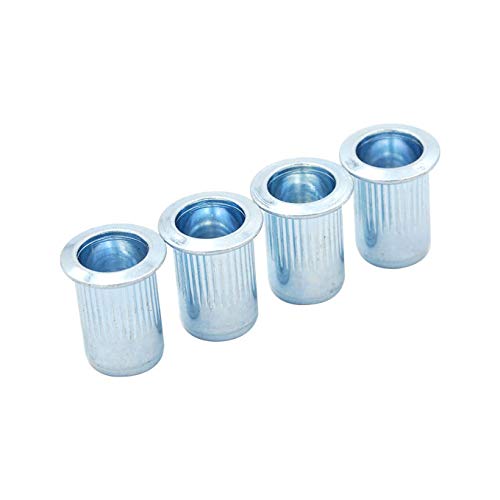 100pcs Rivet Nut Nutsert Threaded Steel Zinc Plated Umbrella Head Knurled Body M3 M4 M5 M6 M8 M10 M12 (M8)