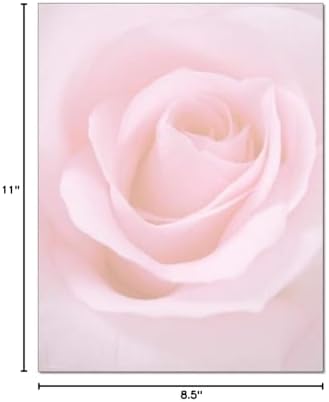 Blushing Rose Letterhead - 100 Sheets/Pack - 1 Pack image 4