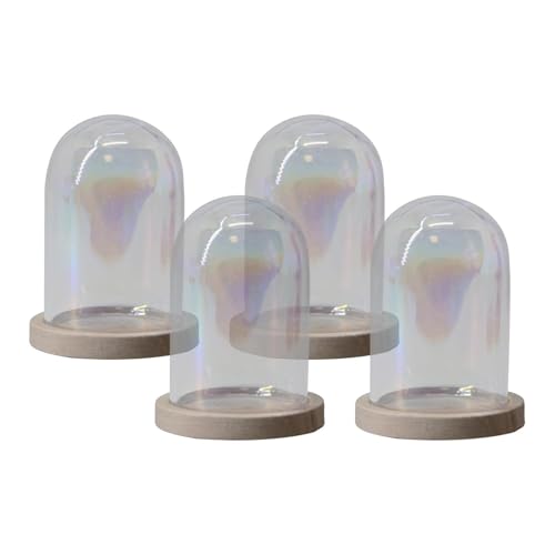 drburpily Lote de 8 terrarios con base de Para madera, diseño bola, para decoración, hogar, oficina, bricolaje, en miniatura