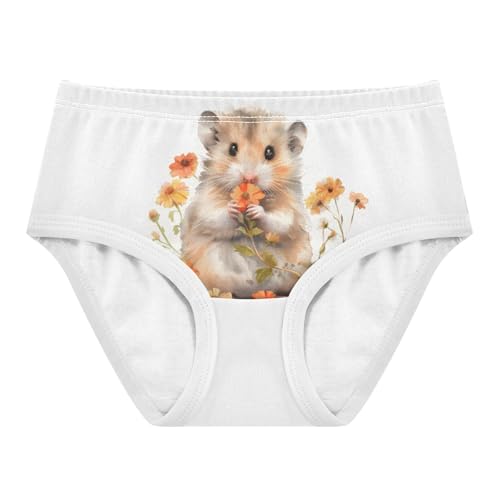 ALAZA Toddler Girls' Cotton Hipster Underwear Soft Little Hamster 2 Pack 2T