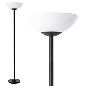 Super Bright Floor Lamp 8000LUMEN!! DIMMABLE 30K Light up a Full Room, Modern and Elegant Design