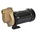 Self Priming Pump,1 HP,Bronze