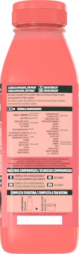 Fructis Hair Food Sandia Revitalizante Garnier Shampoing - vue 2
