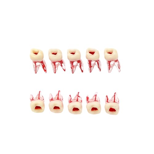 Ningfan M8008-36# Dental Endodontic Root Canal Teeth Modle cover