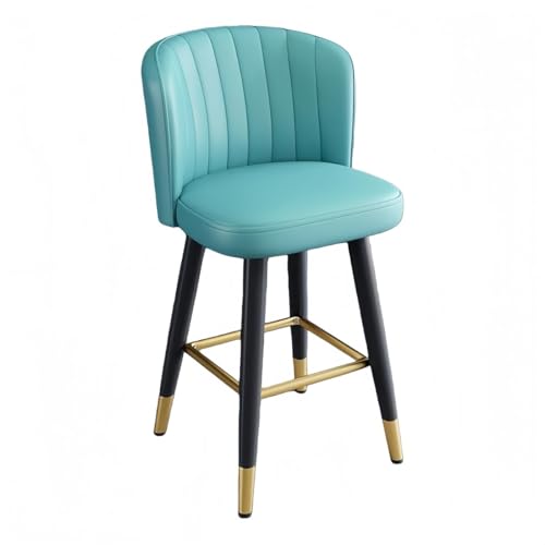 VZXnCXc[`FAo[JE^[`FAwt_ȃt@ubNLb`JE^[ (U[u[,55CM)