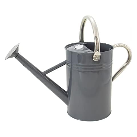 Regadera de Metal de 4,5 L de Kent & Stowe con Rosa Desmontable Cover