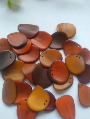 20 Brown Slices Curved - Nail Shape from Colombia Rainforest. Top drilled Two Holes. Size: 3 x 2cm R-1048
