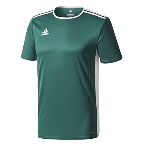adidas Entrada 72 Camiseta de Fútbol para Hombre de Cuello Redondo en Contraste, Verde (Collegiate Green/White), M