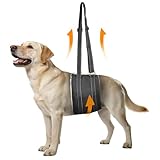 Dog Lift Harness Portable Dog Sling, Hind Back Leg Hip Support for Large Dogs, Rehabilitation Aid for Senior Injured Disabled ACL Surgery K9 (XL)