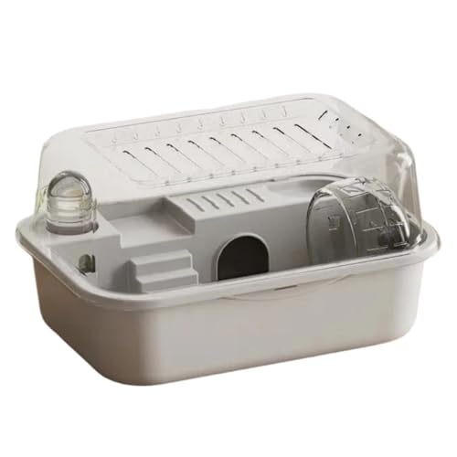 nX^[P[WS[fxAw^XyVnEXANeCNAEgBȒP (O[)