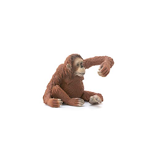 Schleich Wild Life, Animal Figurine, Animal Toys For Boys And Girls 3-8 Years Old, Female Orangutan, Ages 3+ #TOP2
